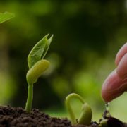 Agriculture Initiative